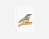 Watercolour Cards